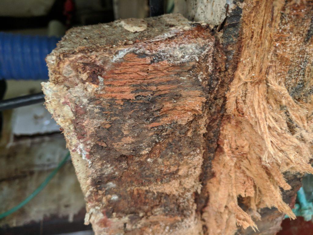 Old growth timber sourced to replace rotted timbers