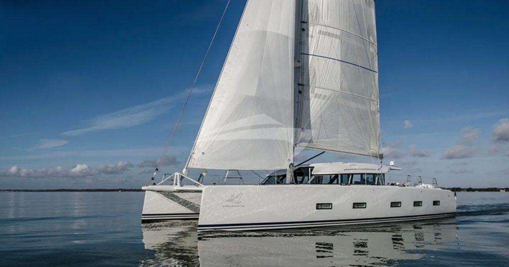 luxury catamaran cygnus cygnus