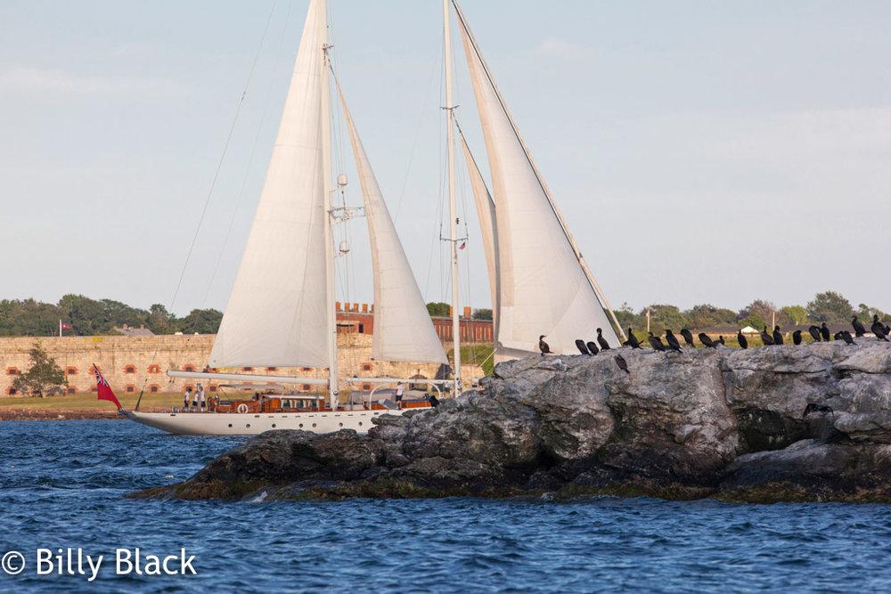 Sailing yacht disappearing behind rocks in Newport Rhode Island
