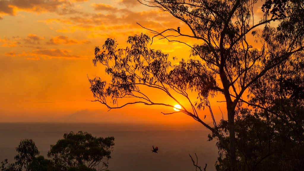 Private Yacht Charter in Oceania