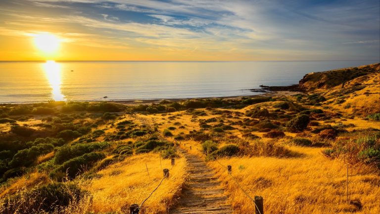 Private Yacht Charter in Oceania